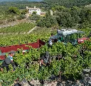pickers-house-bg.webp