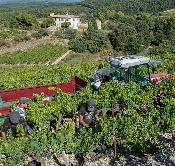 pickers-house-bg.webp